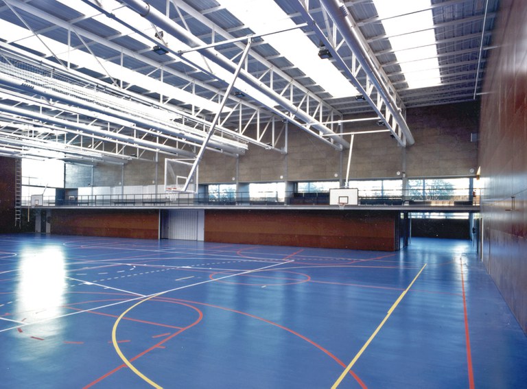 Reforma dels lluernaris del Pavelló de l'Ausoneta